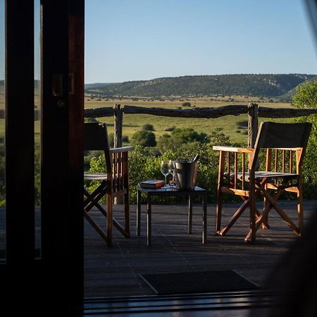 Hillsnek Safari Camp - Amakhala Game Reserve Exteriér fotografie