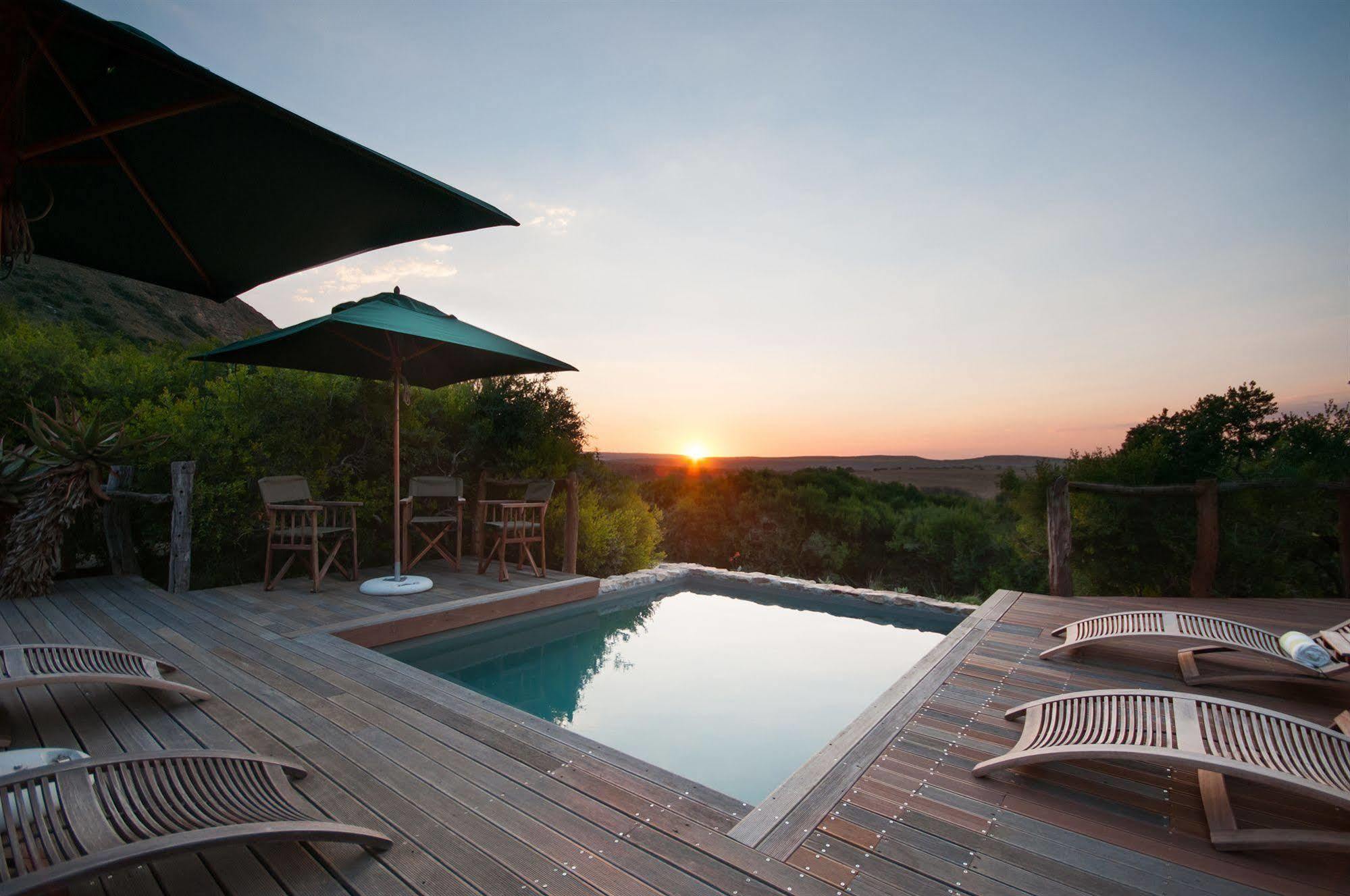 Hillsnek Safari Camp - Amakhala Game Reserve Exteriér fotografie